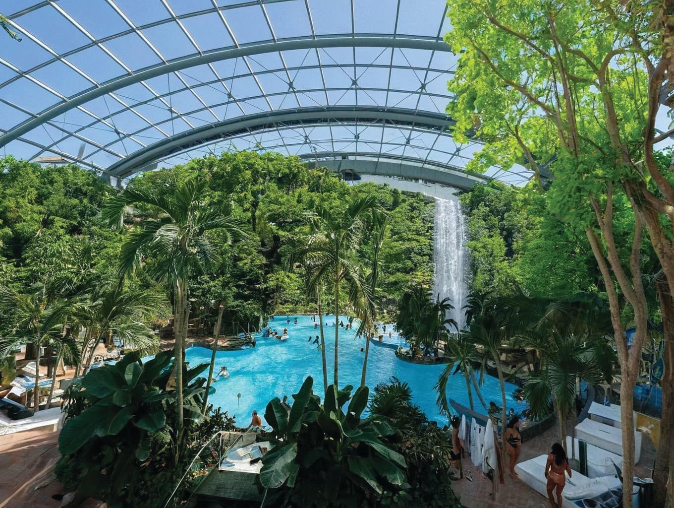 Rendering of an indoor swimming pool amidst lush greenery